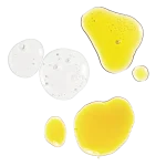 The Antioxidant Collection - Image 2