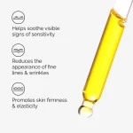 100% Fermented Rose Hip Seed Oil - Image 3